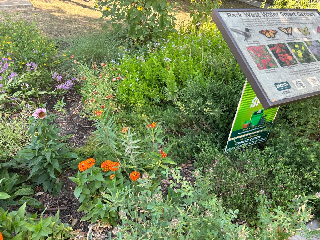 Park West pollinator garden
