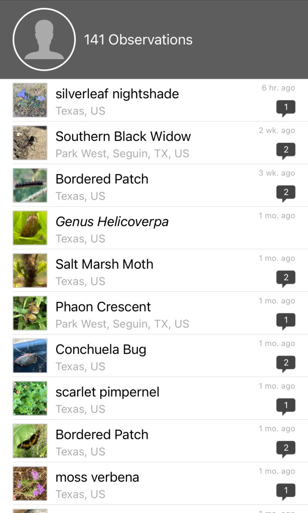 iNaturalist screenshot