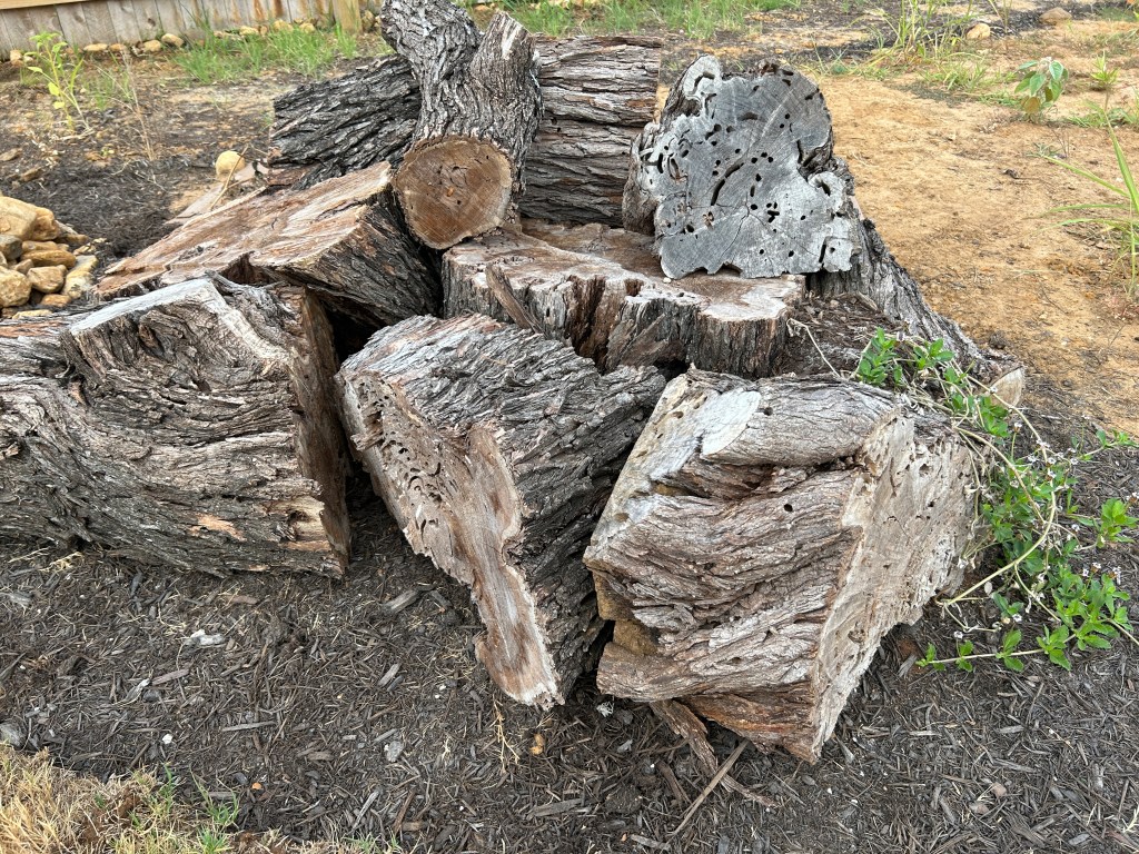 Log pile with Frogfruit plant