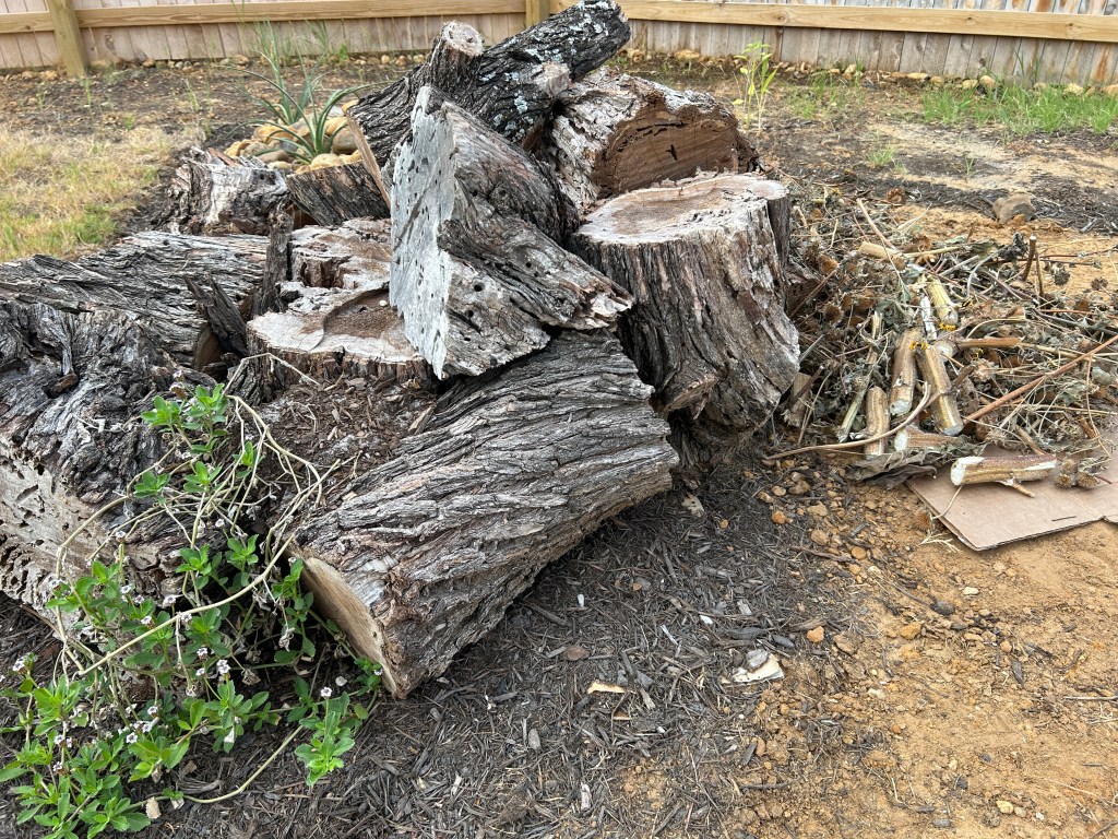 Logs and chopped up plants