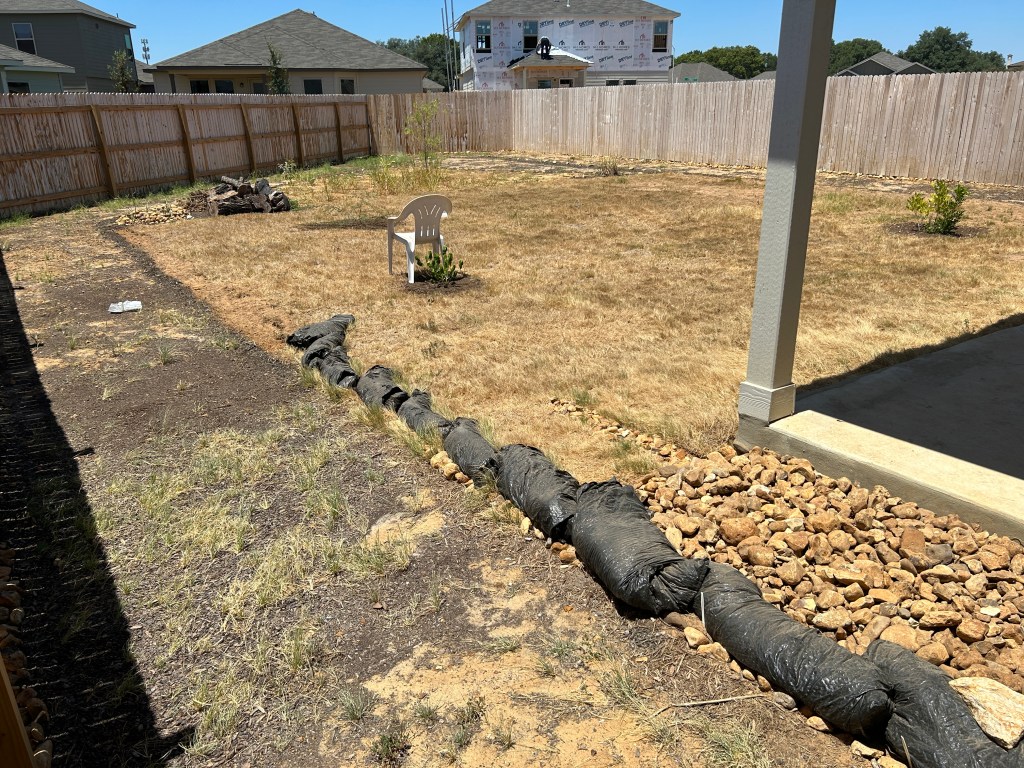 back yard left corner 1, August 2023