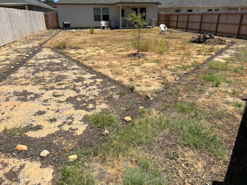 back yard corner 3, August 2023