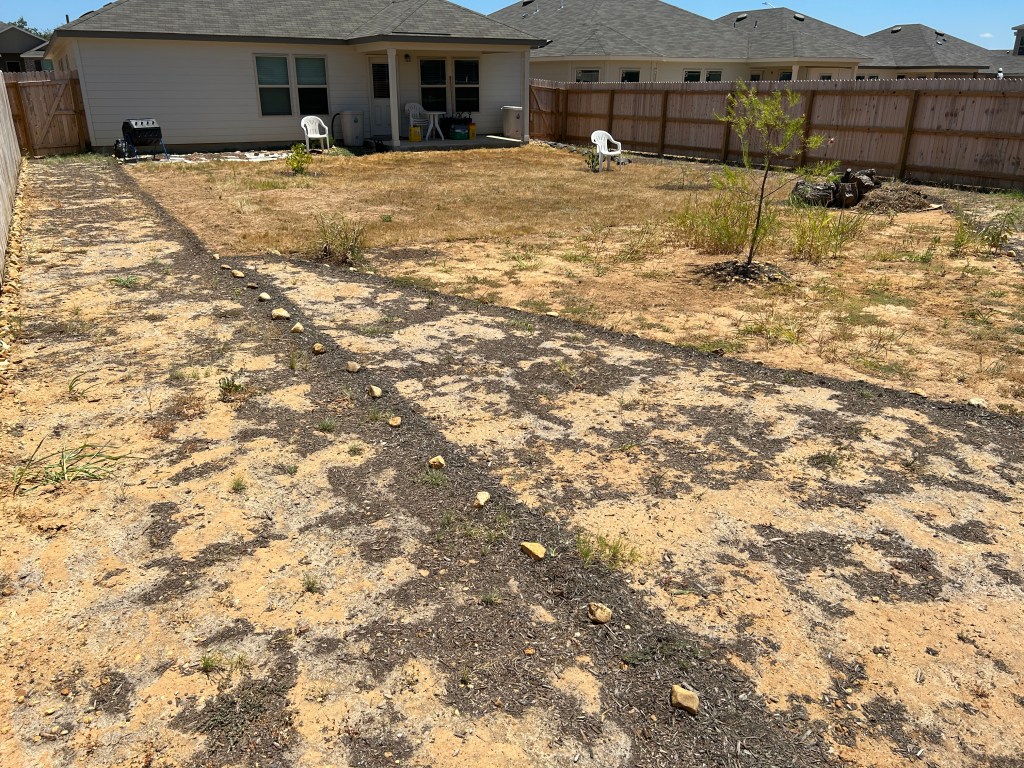 back yard corner 4, August 2023