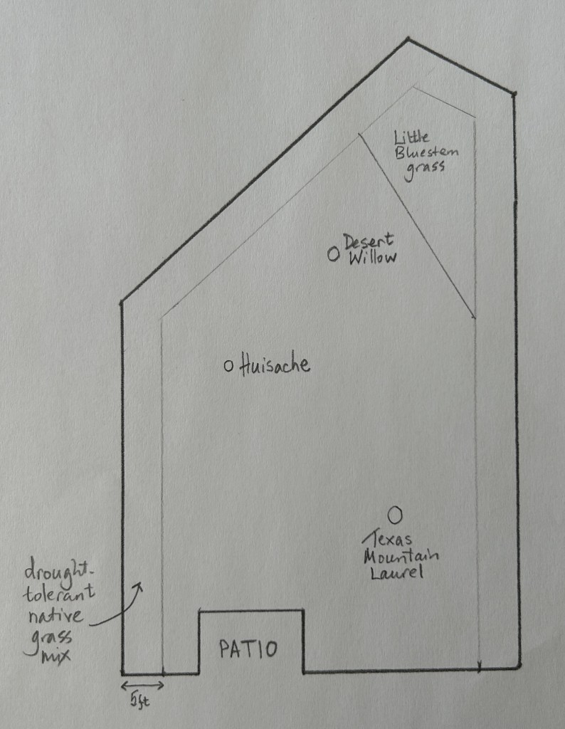 original garden design - grasses & trees