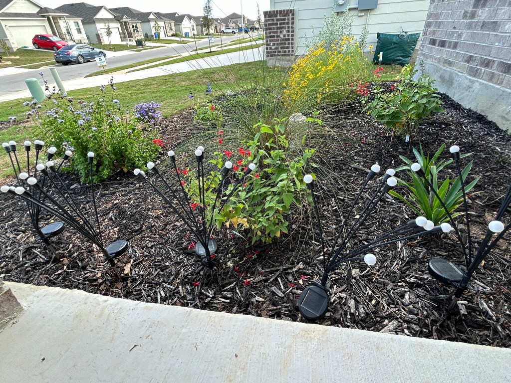 Lunch At The Pollinator&nbsp;Garden