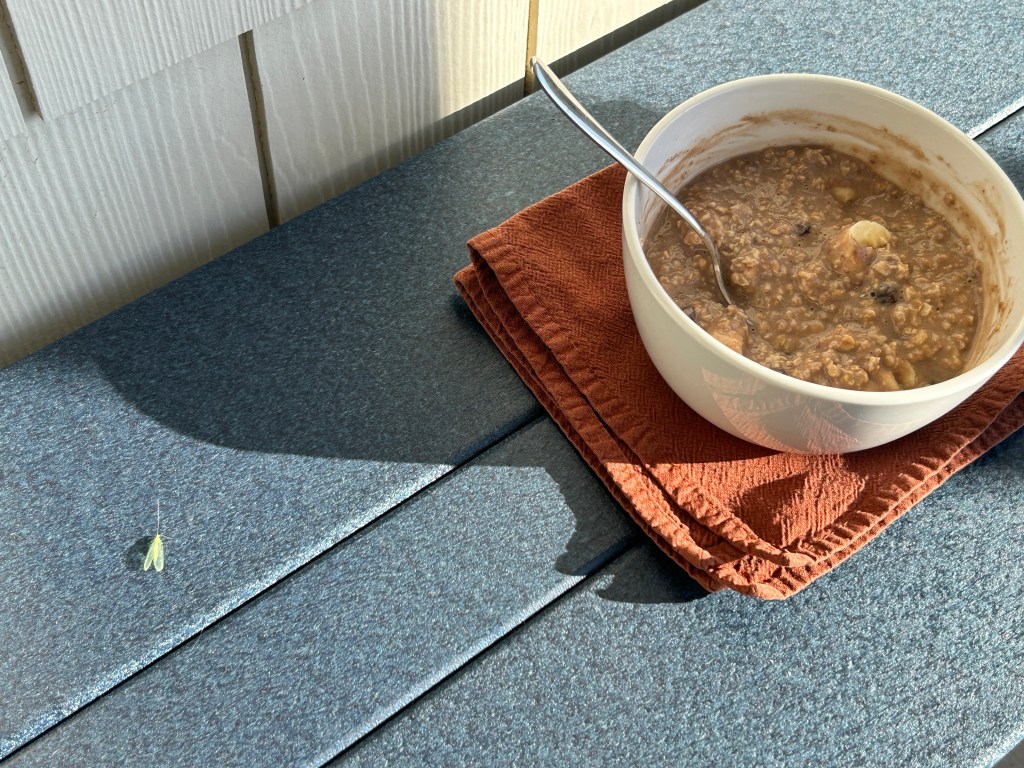 A Lacewing Breakfast&nbsp;Companion