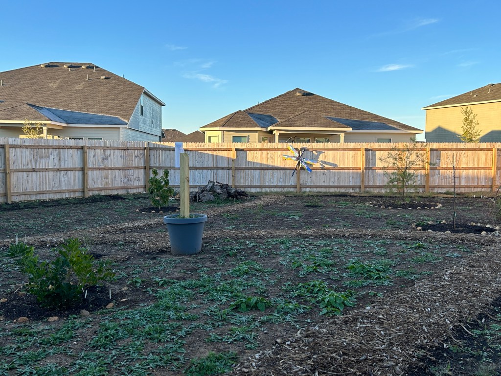 Tree & Shrub Growth Report, January&nbsp;2024