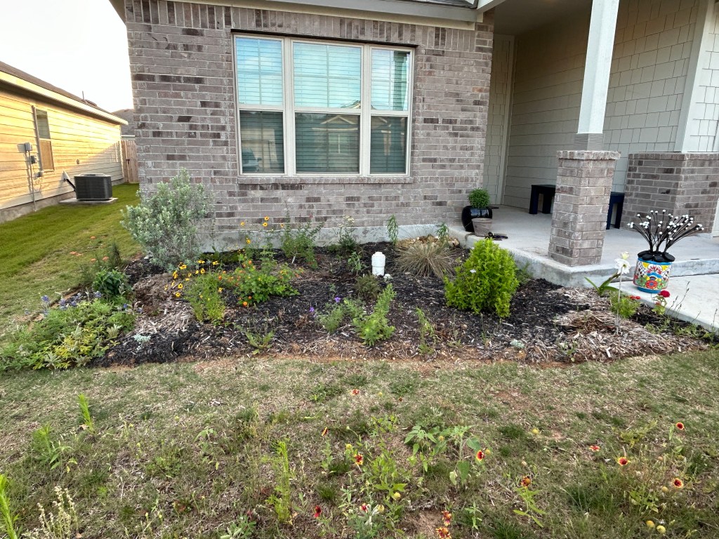 New Plants For The Front Pollinator&nbsp;Garden