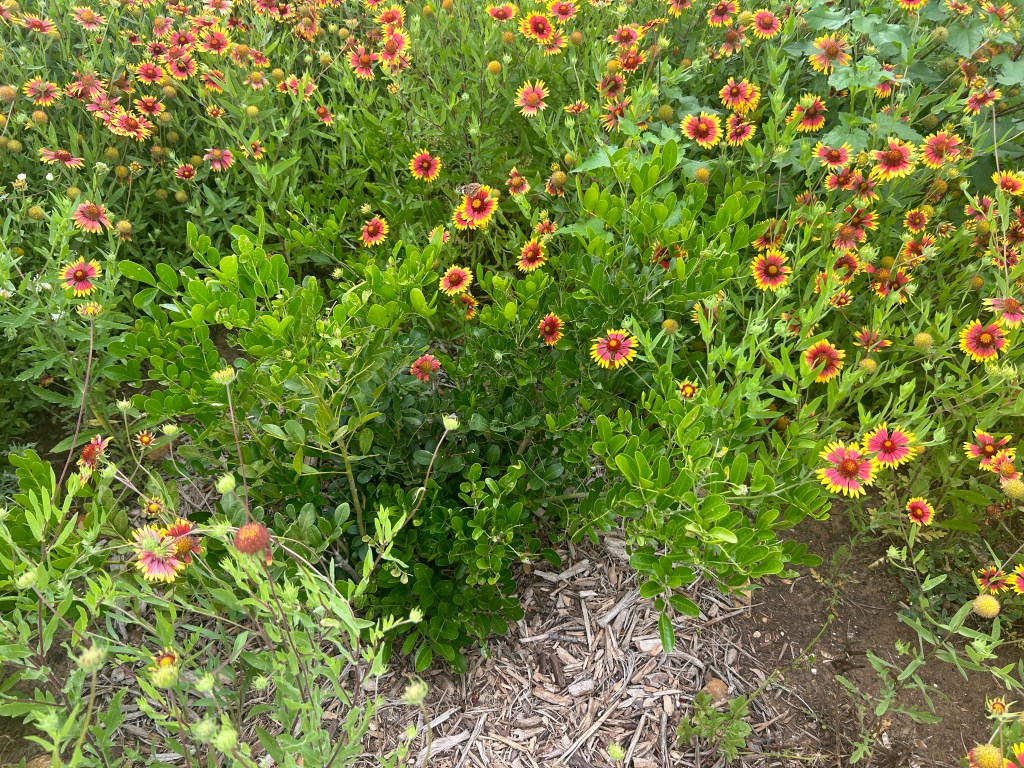 Too Much Of A Good&nbsp;Thing