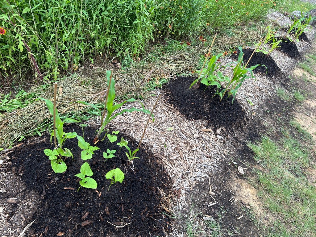 Improvising A New&nbsp;Pathway