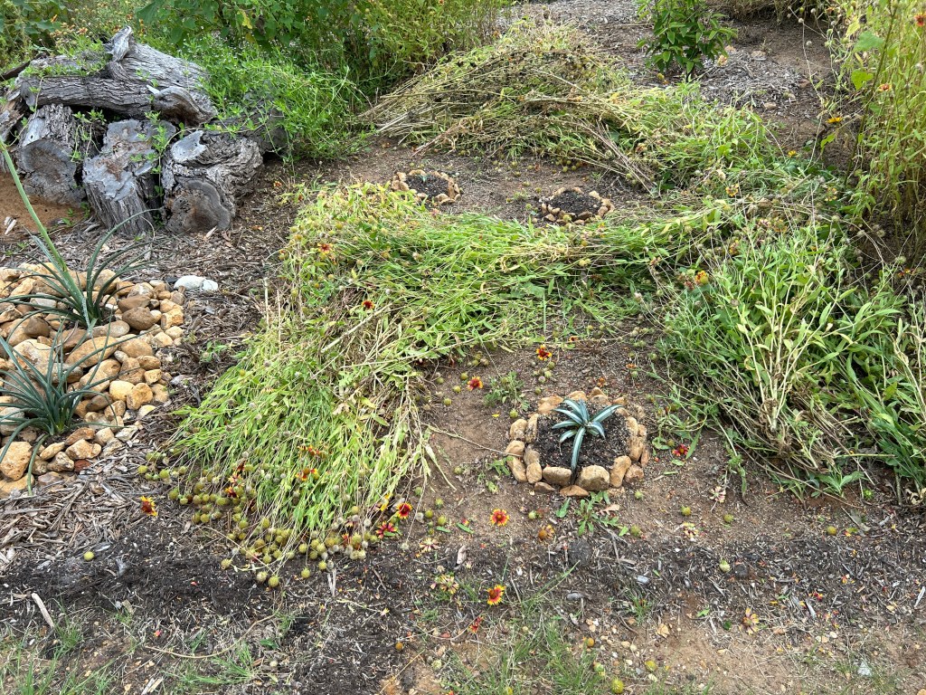 Clearing A Back&nbsp;Corner