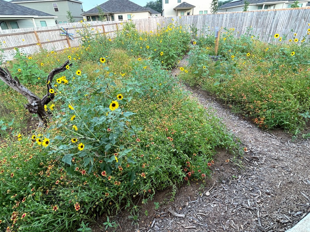 More Clearing, For An Important&nbsp;Project!