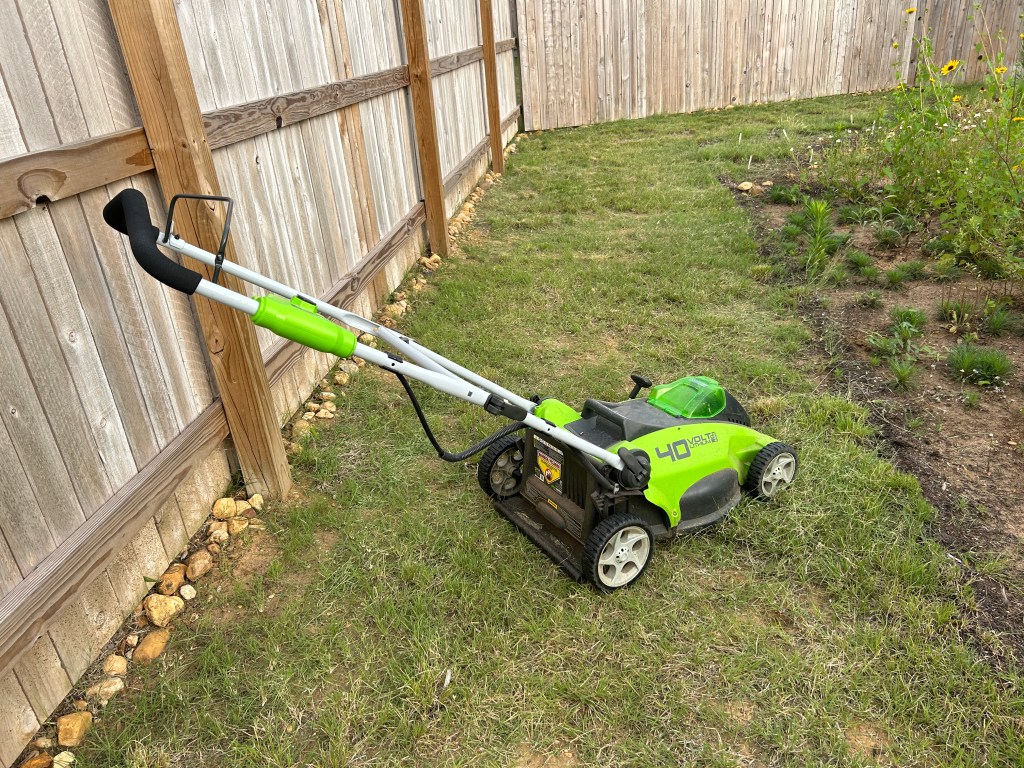 Native Grasses Get Mown Twice A&nbsp;Year