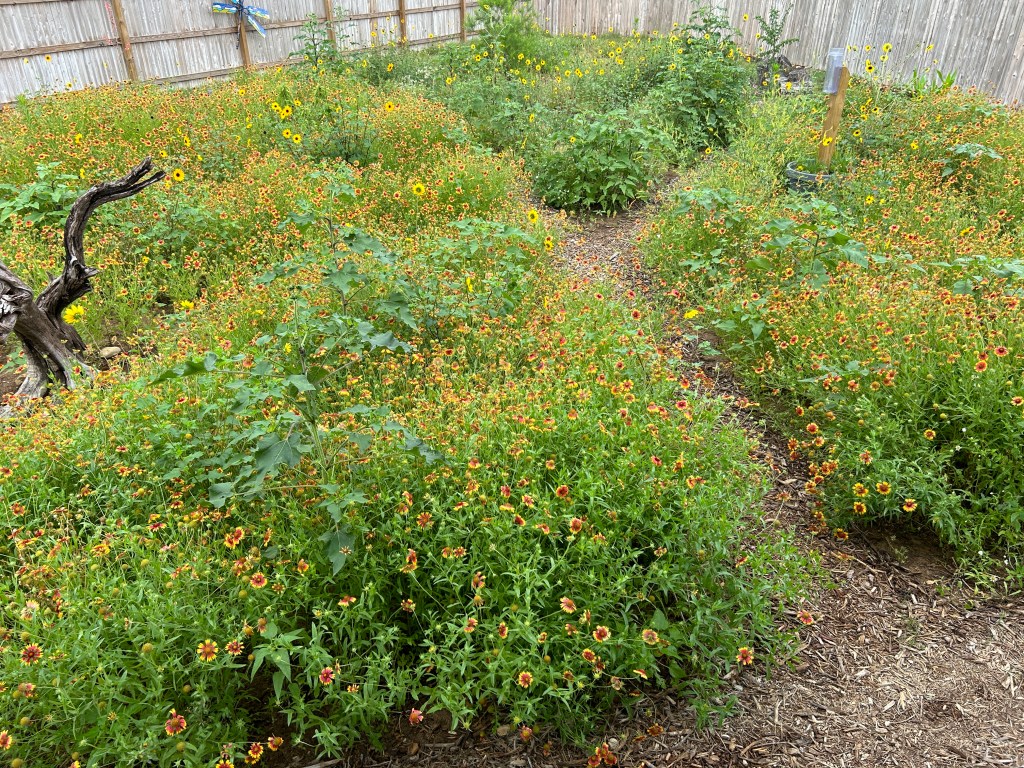 “State Of The Garden” After 15 Months