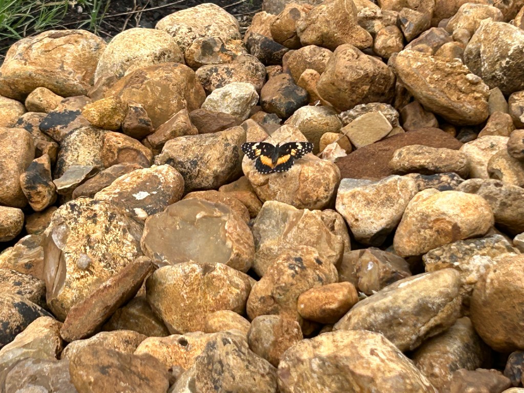 Moving My Spare&nbsp;Stones