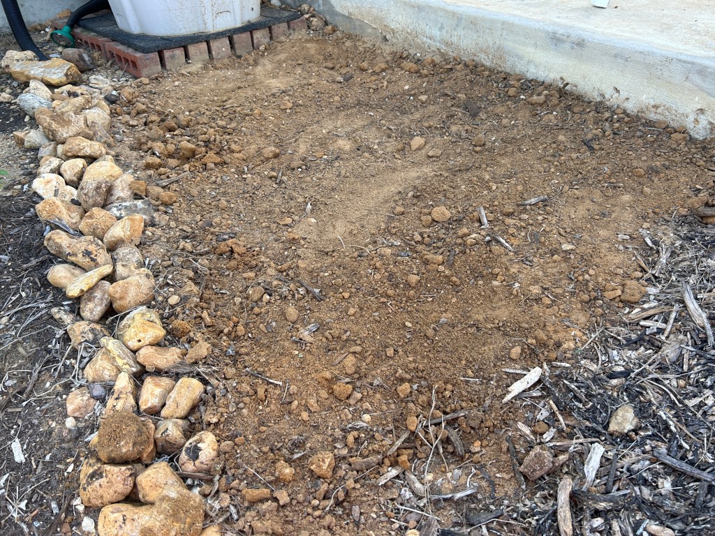 Frogfruit Master Plant Has Gone, But Its Children Live&nbsp;On