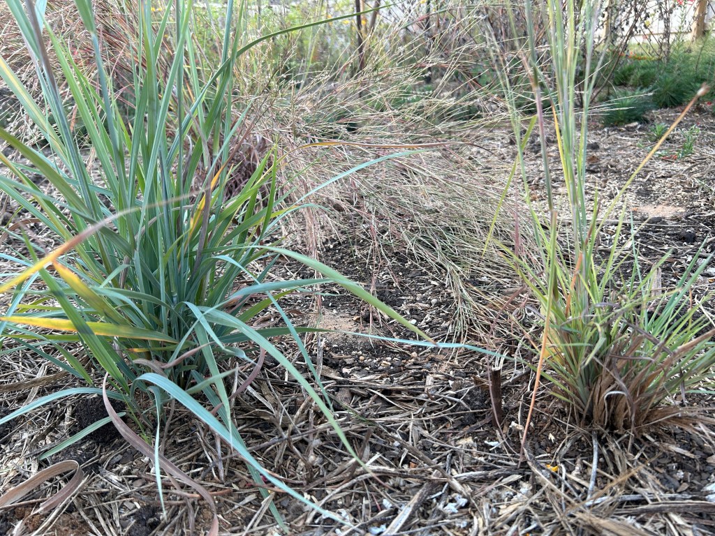 A Pleasant Surprise In The Tall Grass&nbsp;Area