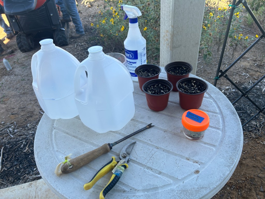 More Tree Propagation That I Did Not&nbsp;Plan