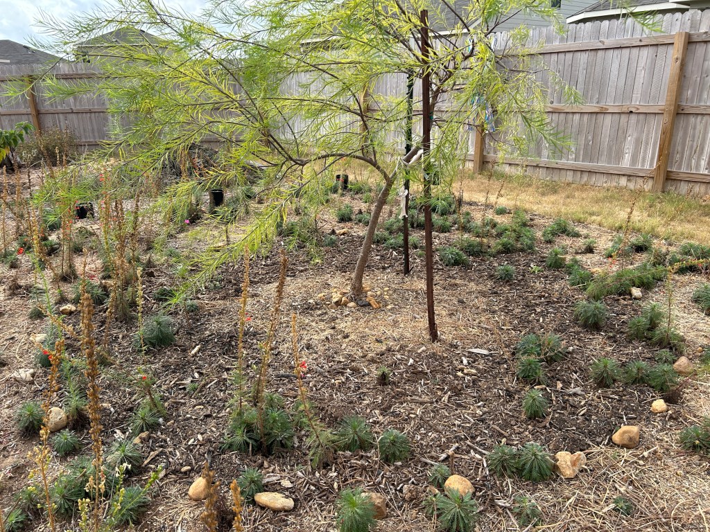 Increasing The Size Of Tree&nbsp;Circles