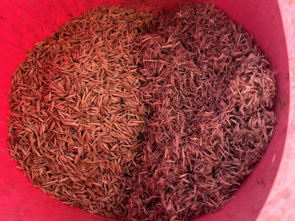 Boosting The Seed Bank In The Tall Grass&nbsp;Area