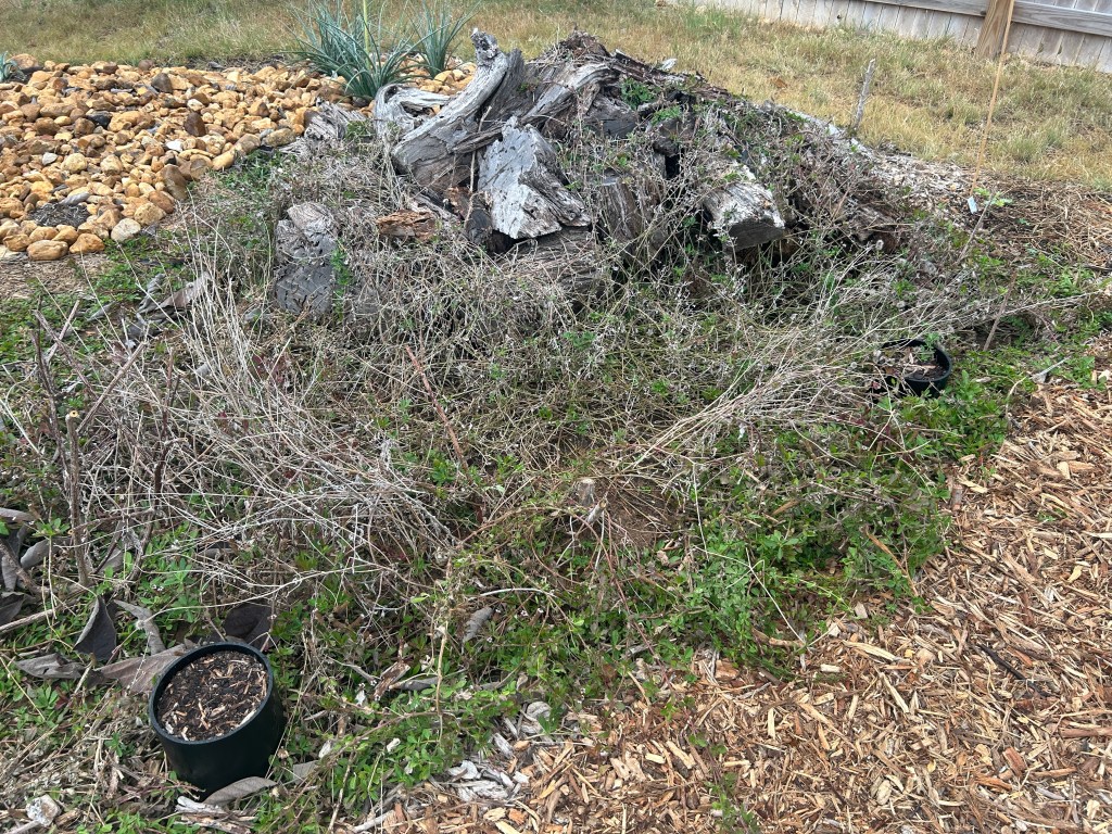 Clearing Excess Frogfruit From Near The Wood&nbsp;Pile