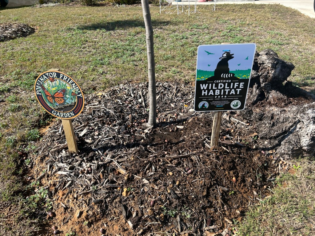Certified Wildlife Habitat