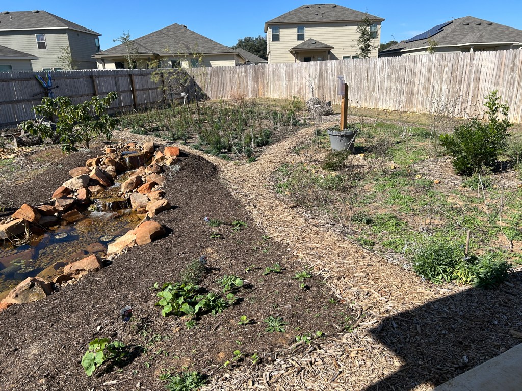 Tree Growth Report, January&nbsp;2025