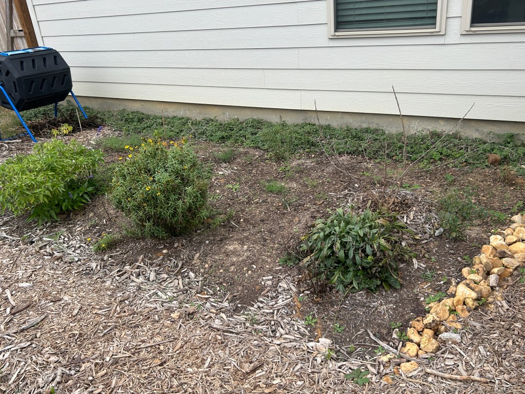 Shrub Growth Report, January&nbsp;2025
