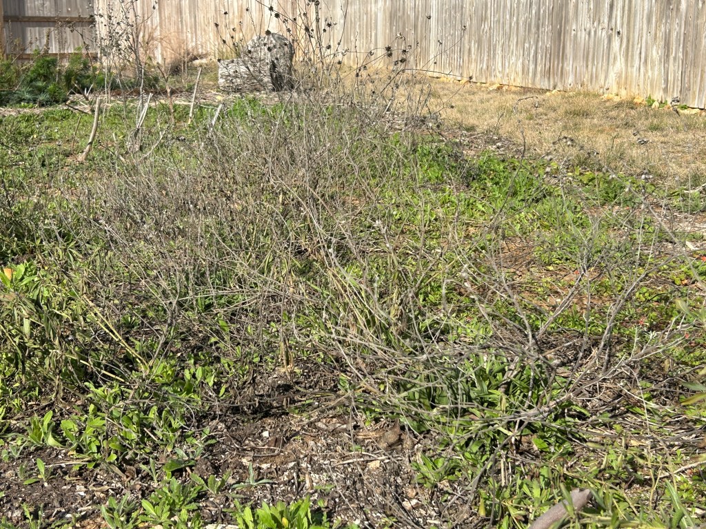 Starting The Spring Clean&nbsp;Up