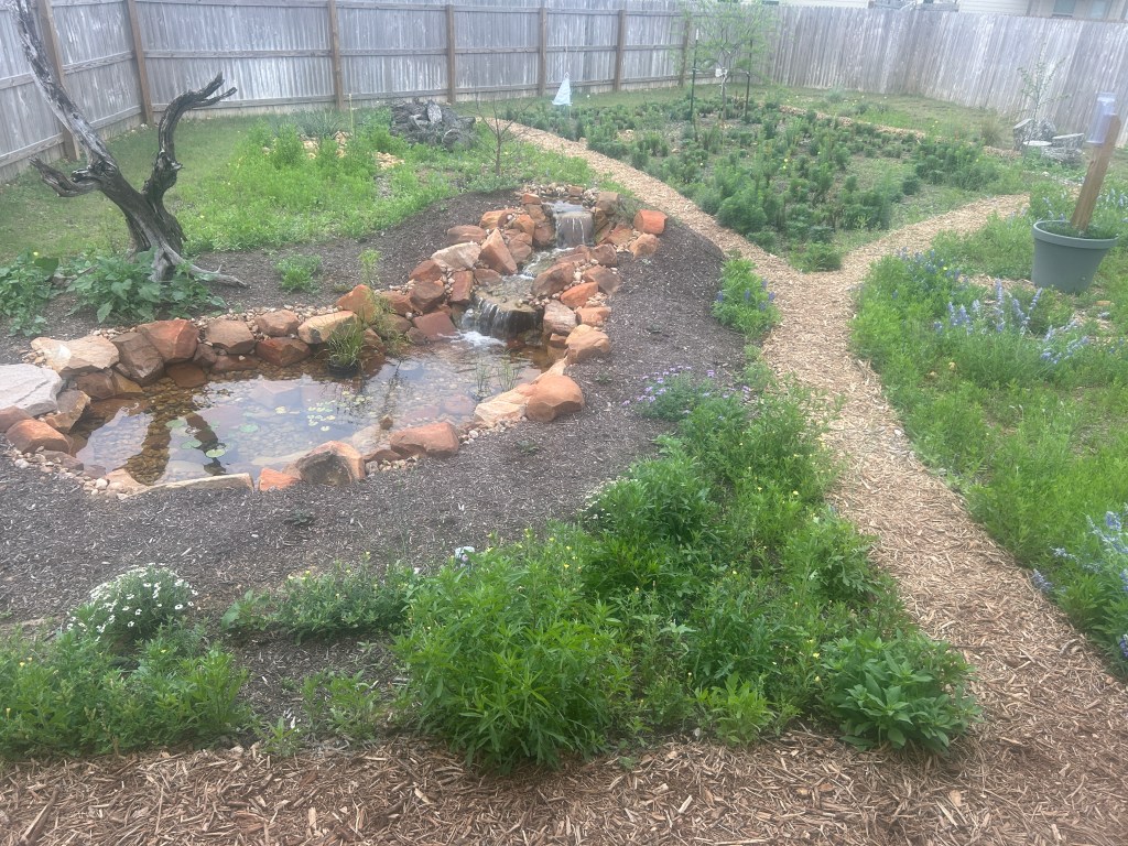 A Breakfast View Of The Back&nbsp;Garden