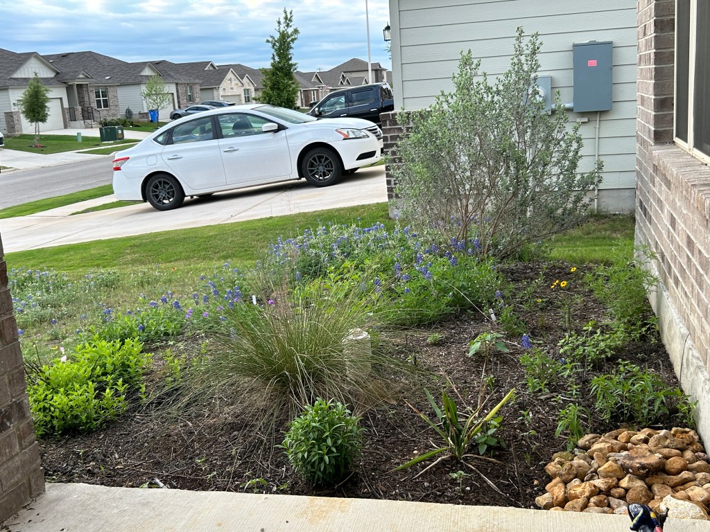 A Breakfast View Of The Front&nbsp;Garden