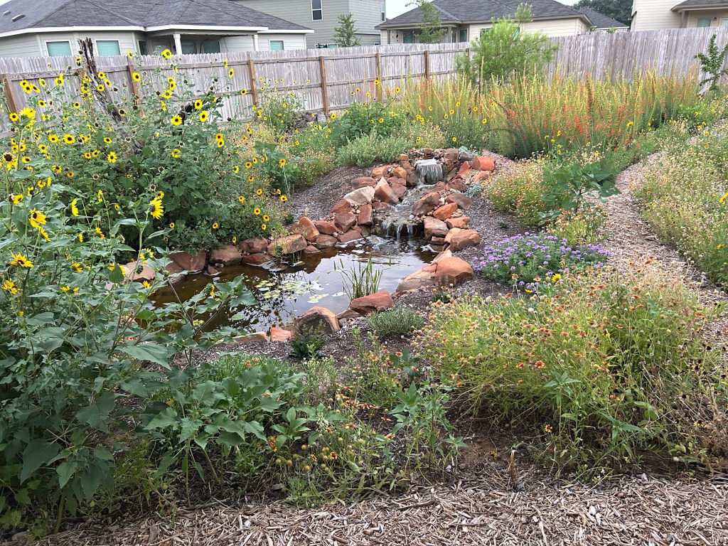 Returning To The Garden After Nine Days&nbsp;Away