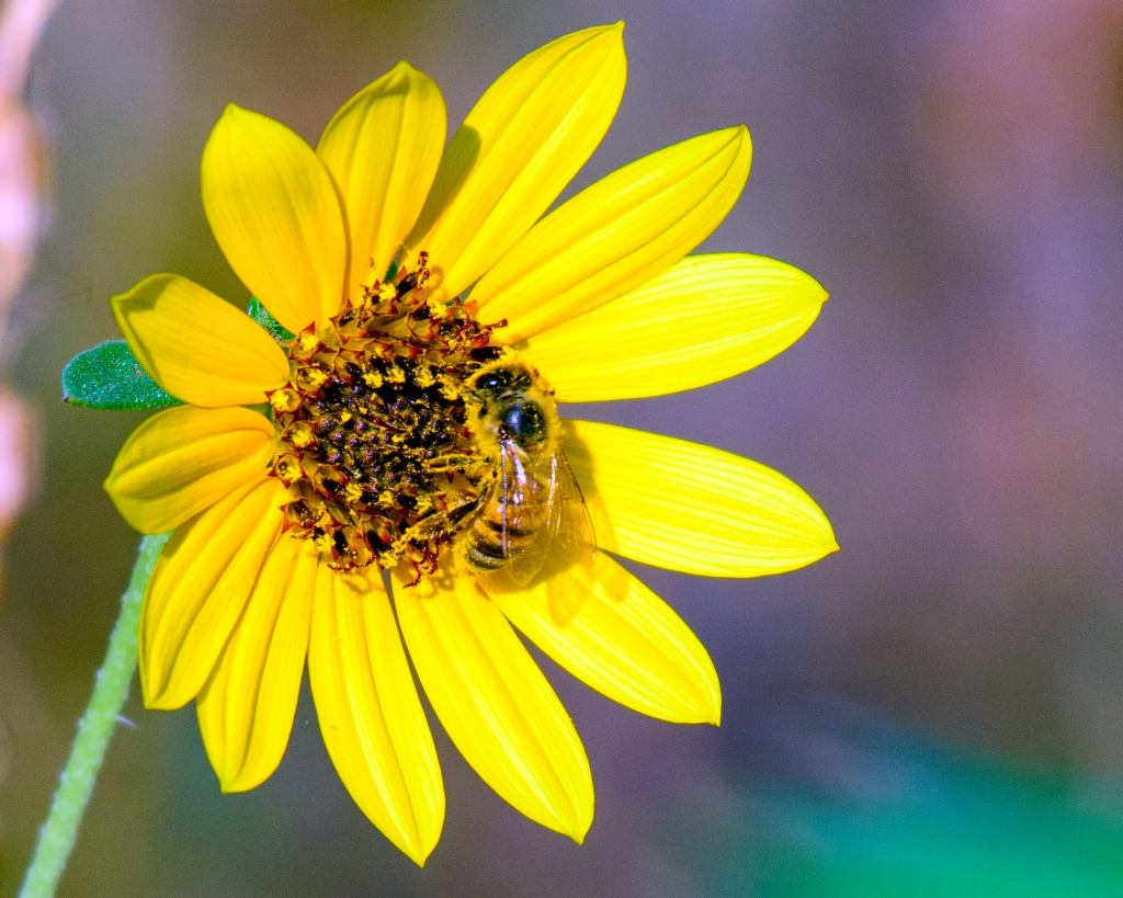 When A Photographer Visits The&nbsp;Garden