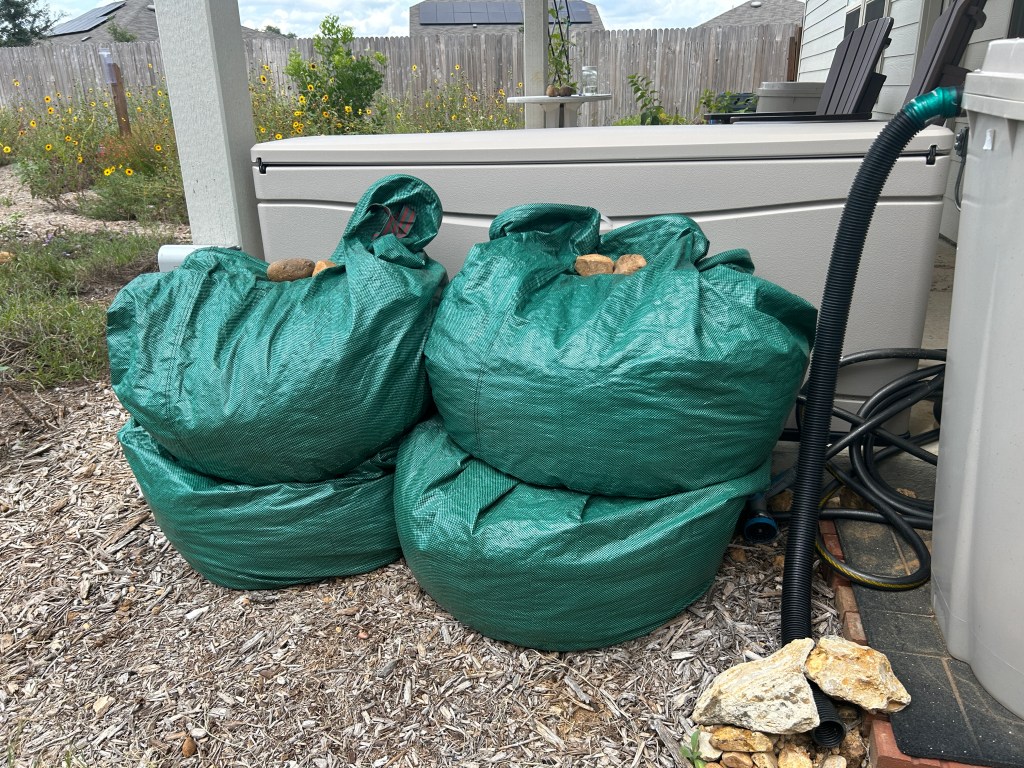 Weightlifting In The&nbsp;Garden