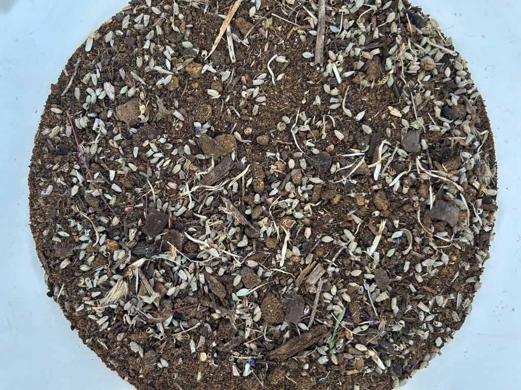 Increasing Diversity In The Wildflower&nbsp;Meadow