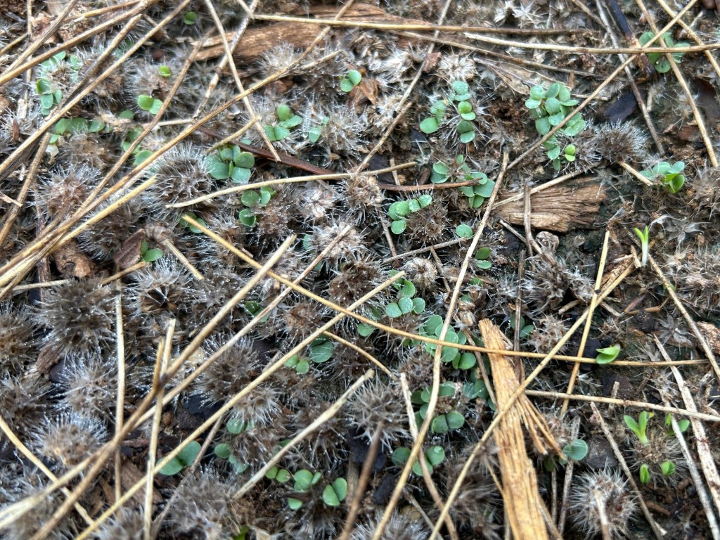 Finally We Got&nbsp;Rain