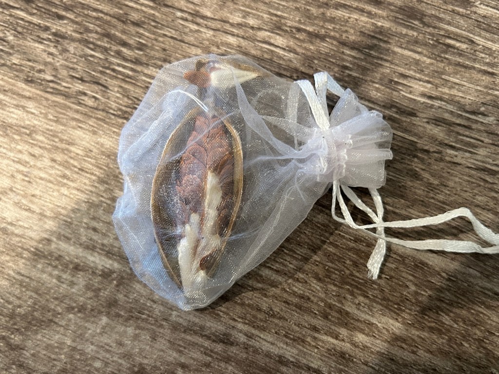 Gathering Milkweed Seeds