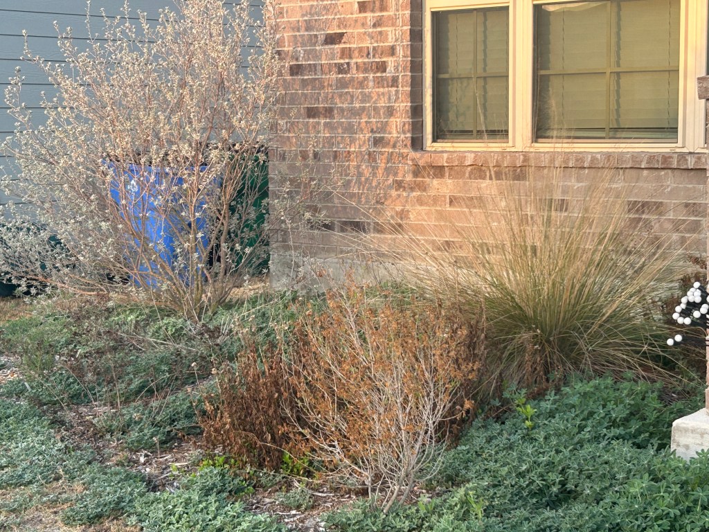 Starting The Spring&nbsp;Trim