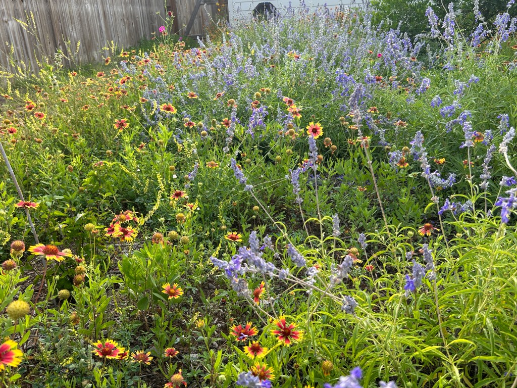 Some Very Welcome April&nbsp;Rain